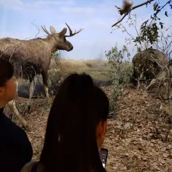 Sterlitamak Regional Museum of Local Lore - Sterlitamak