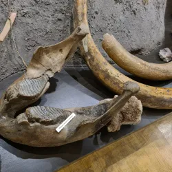 Sterlitamak Regional Museum of Local Lore - Sterlitamak