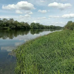 Oka River Embankment - Stupino