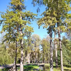 Stupino Central Park - Stupino