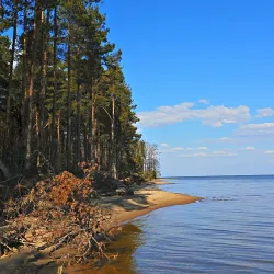 Forest Trails around Svetogorsk - Svetogorsk