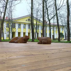 Svetogorsk Cultural Center - Svetogorsk