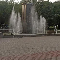 Svetogorsk Ski Trails (Winter) - Svetogorsk