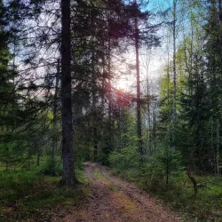 Vuoksi River - Svetogorsk
