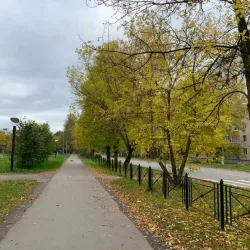 Vuoksi River - Svetogorsk