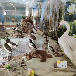 National Museum of the Komi Republic - Syktyvkar