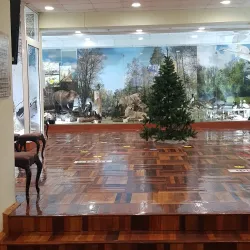 National Museum of the Komi Republic - Syktyvkar