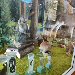 National Museum of the Komi Republic - Syktyvkar