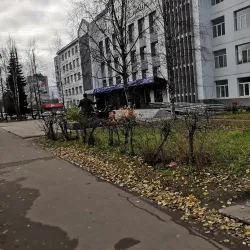 Syktyvkar State University - Syktyvkar