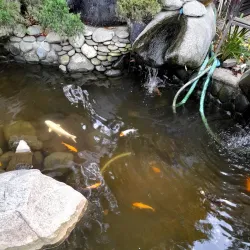 Gorky Park - Taganrog