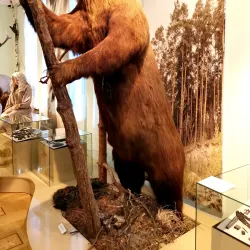 Tambov Regional Museum of Local Lore - Tambov