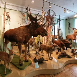 Tambov Regional Museum of Local Lore - Tambov