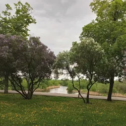 Tambov State University Botanical Garden - Tambov