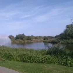 Tambov State University Botanical Garden - Tambov