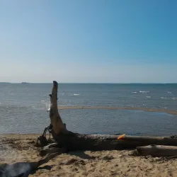 Novosibirsk Reservoir (Ob Sea) - Toguchin