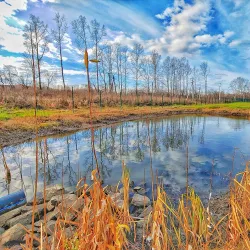 Toguchin Market - Toguchin