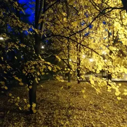 Central Park of Culture and Leisure - Tolyatti (Togliatti)