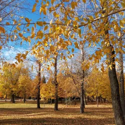 Central Park of Culture and Leisure - Tolyatti (Togliatti)