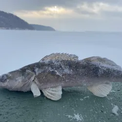Komsomol Square - Tolyatti (Togliatti)