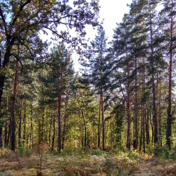Komsomol Square - Tolyatti (Togliatti)