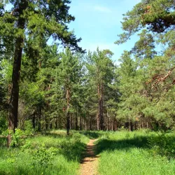 Komsomol Square - Tolyatti (Togliatti)