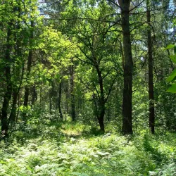 Komsomol Square - Tolyatti (Togliatti)