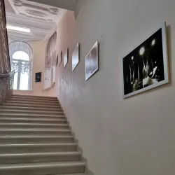 Tomsk Regional Art Museum - Tomsk