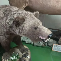 Tuapse History Museum - Tuapse