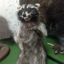 Tuapse History Museum - Tuapse