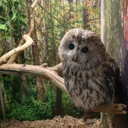 Tula Exotarium - Tula