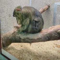 Tula Exotarium - Tula