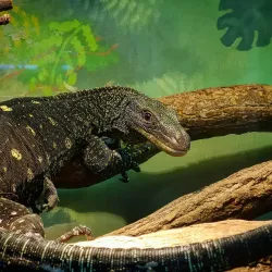 Tula Exotarium - Tula