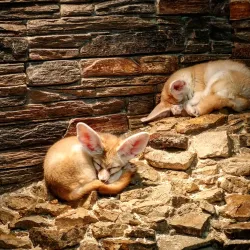 Tula Exotarium - Tula