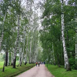 Yasnaya Polyana - Tula