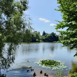 Yasnaya Polyana - Tula