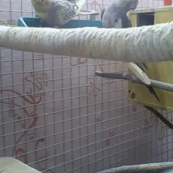 Tuymazy Local History Museum - Tuymazy