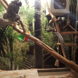 Tuymazy Local History Museum - Tuymazy