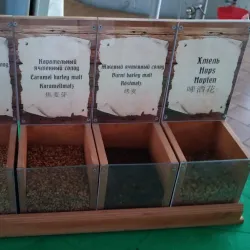 Afanasievskoe Estate - Tver