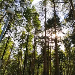 Gileya Park - Tyumen