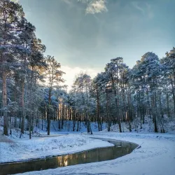 Gileya Park - Tyumen
