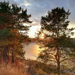 Gileya Park - Tyumen