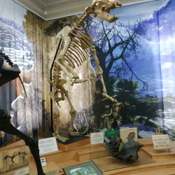 Tyumen Oil and Gas Museum - Tyumen