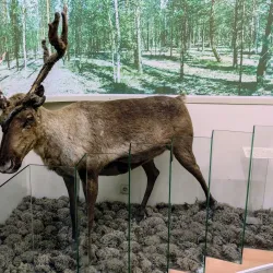 Tyumen Oil and Gas Museum - Tyumen