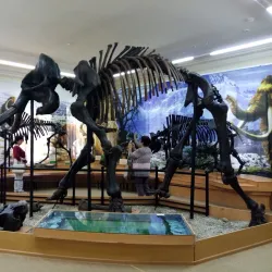 Tyumen Oil and Gas Museum - Tyumen