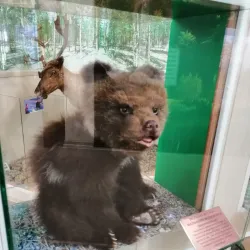 Tyumen Oil and Gas Museum - Tyumen