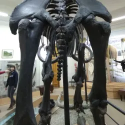 Tyumen Oil and Gas Museum - Tyumen