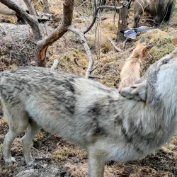 Tyumen Oil and Gas Museum - Tyumen