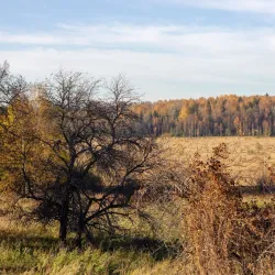 Udomlya Forest Reserve - Udomlya