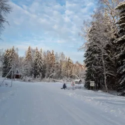 Udomlya Forest Reserve - Udomlya