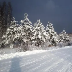 Udomlya Forest Reserve - Udomlya